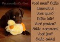 /album/pensamentos-caninos/cao12-jpg/