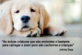 /album/pensamentos-caninos/cao16-jpg/