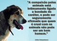 /album/pensamentos-caninos/cao21-jpg/