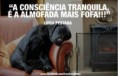 /album/pensamentos-caninos/cao30-jpg/