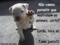 /album/pensamentos-caninos/cao32-jpg/