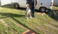 /album/galeria-de-fotos/dalila-jpg/